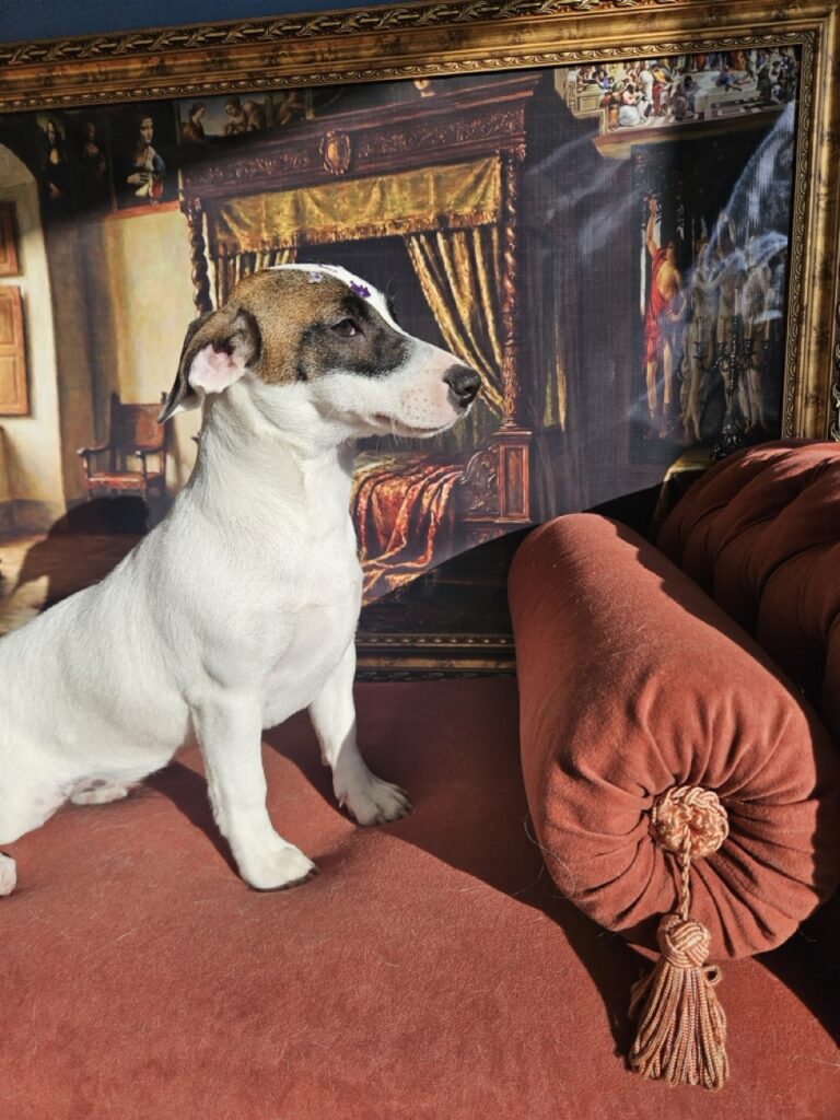 Foto de capa