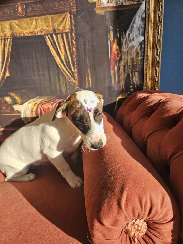 Foto de capa