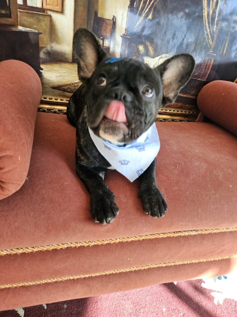 Foto de capa