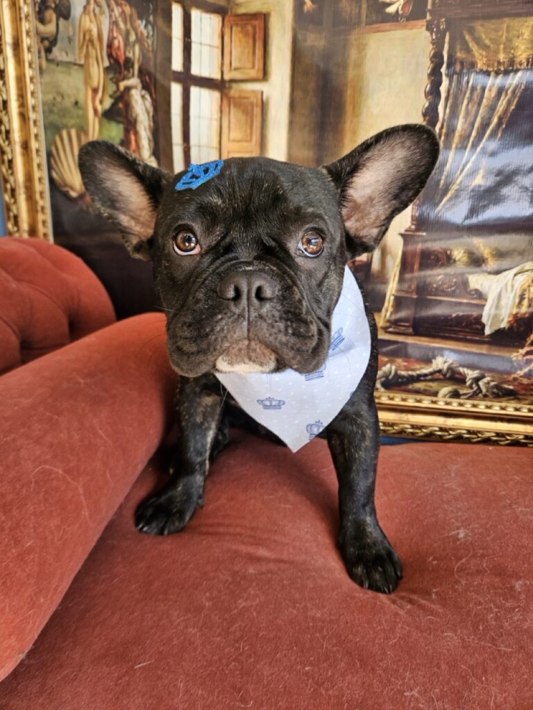 Foto de capa