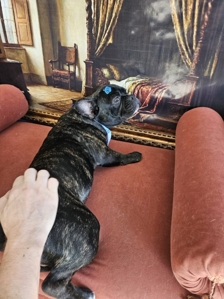 Foto de capa