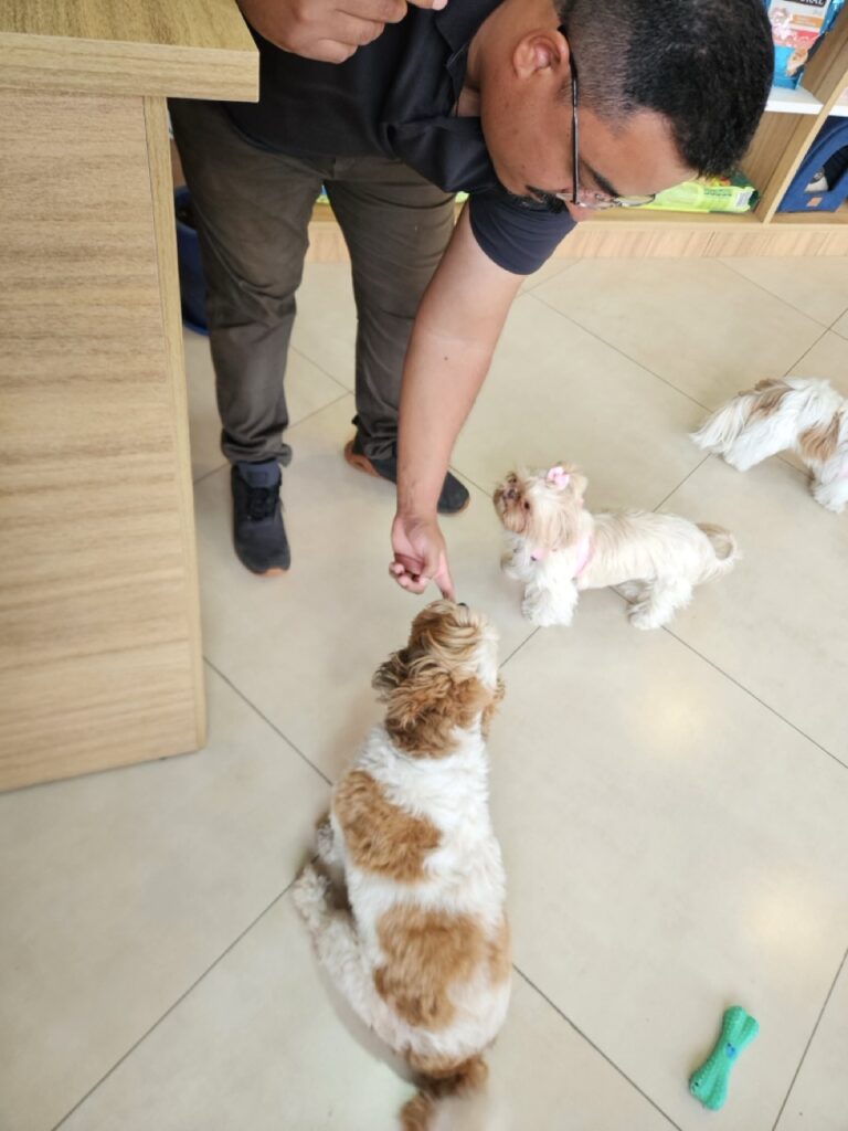 Torresmo na Realeza Pets, foto 6