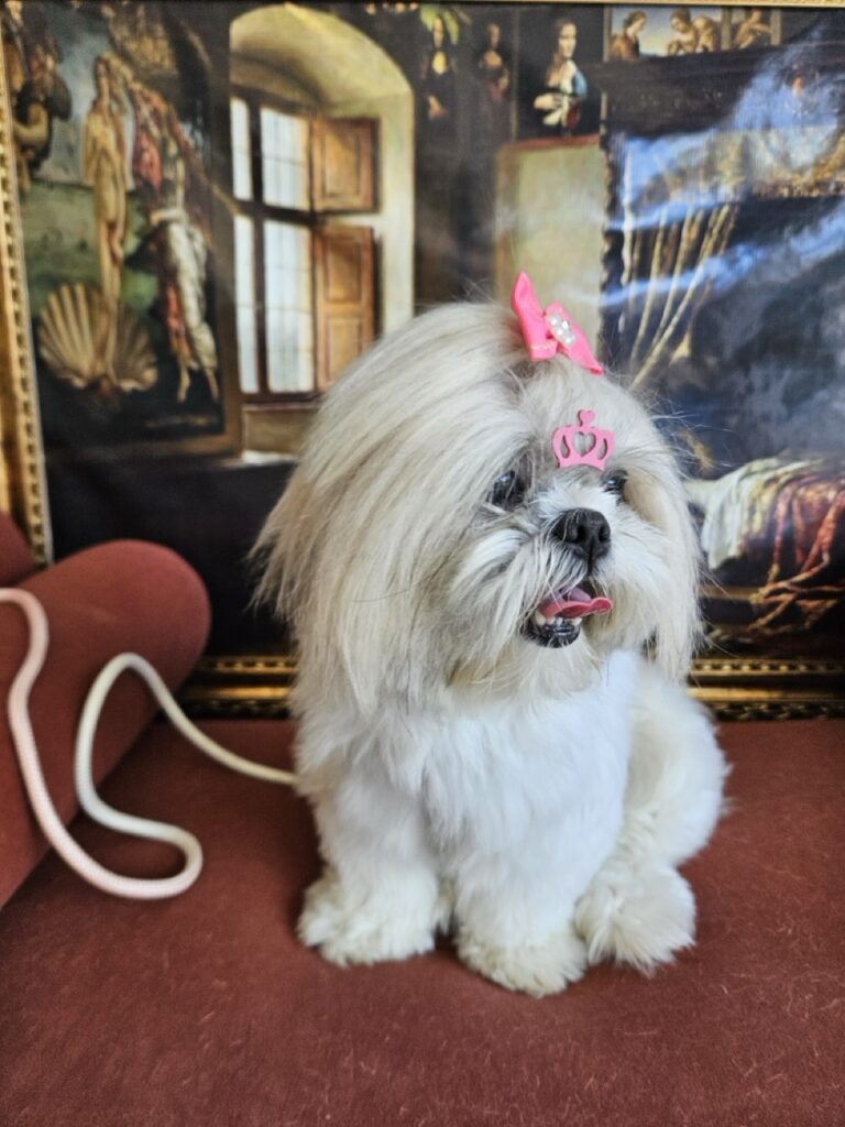 Foto de capa