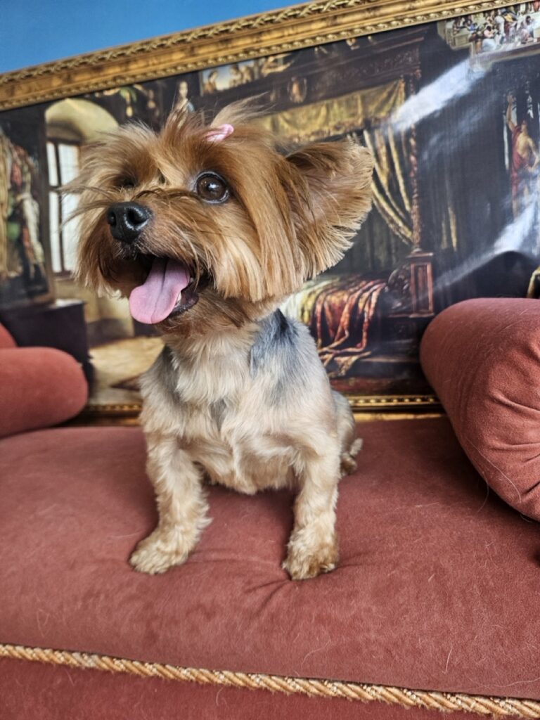 Foto de capa