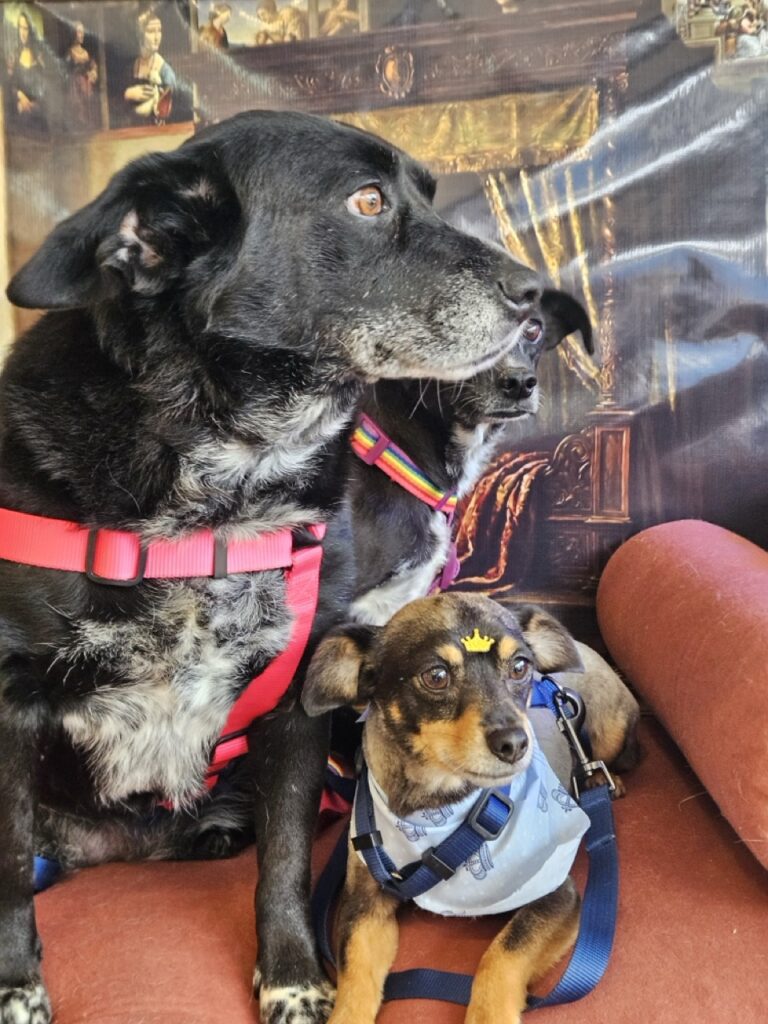 Foto de capa