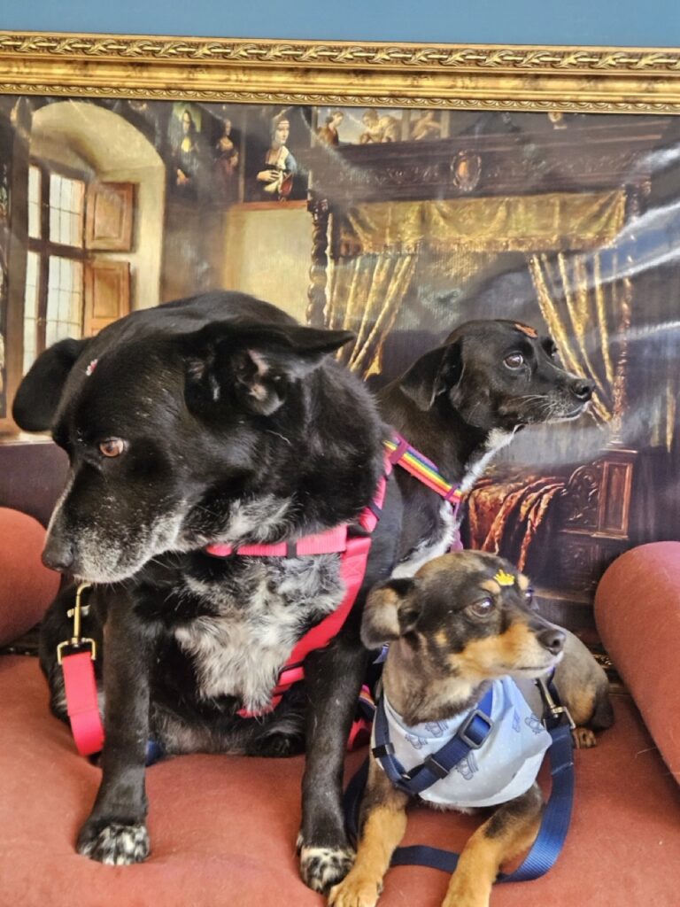Foto de capa
