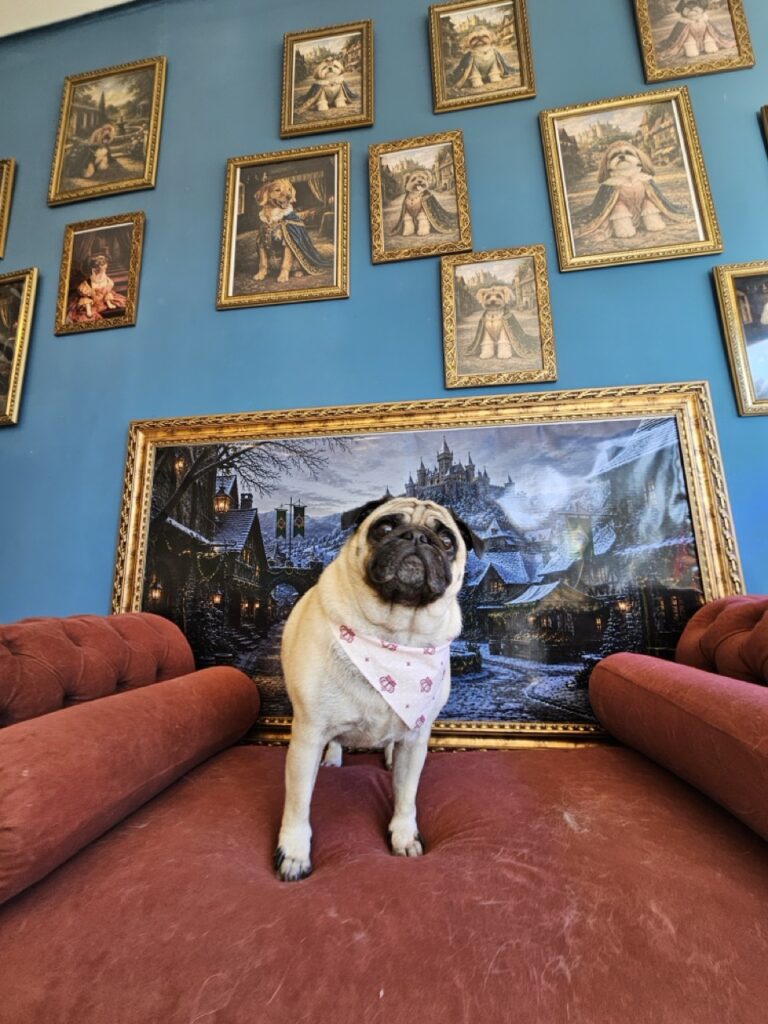 Foto de capa