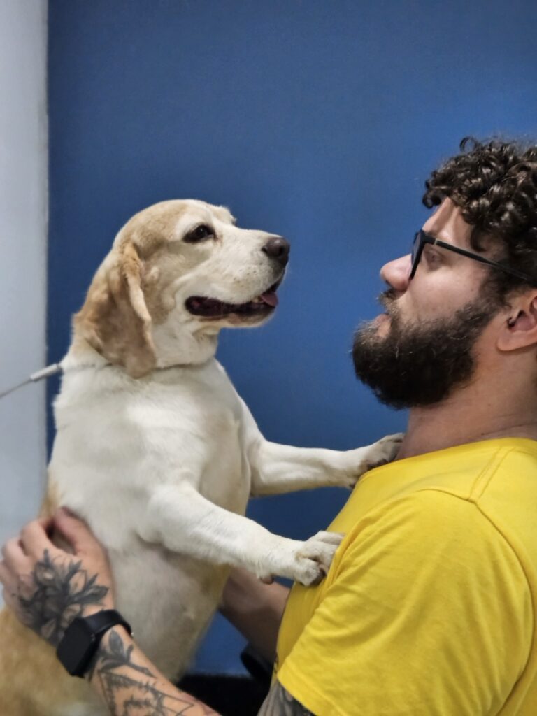 Foto de capa