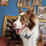 Maximus