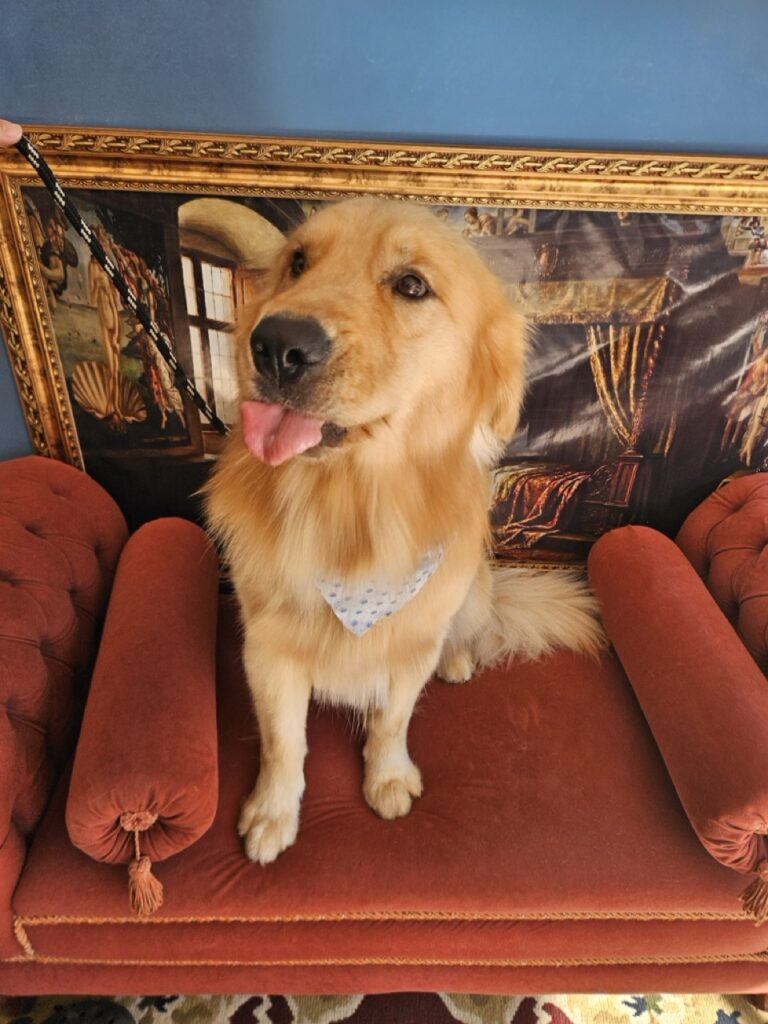 Foto de capa