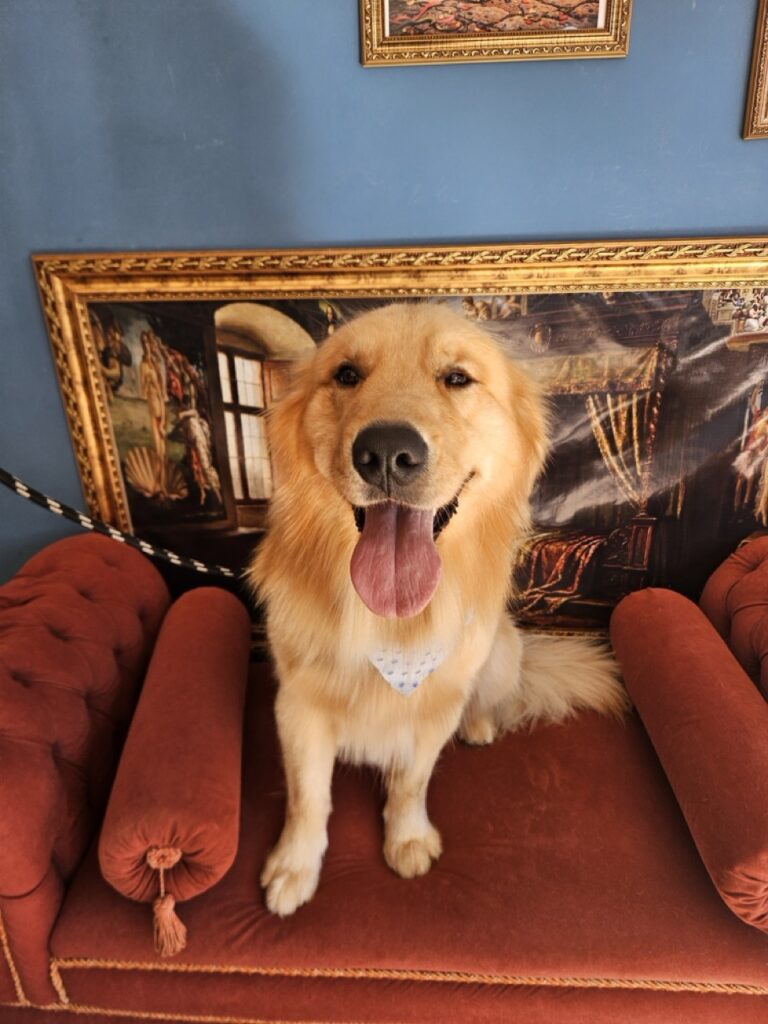 Foto de capa