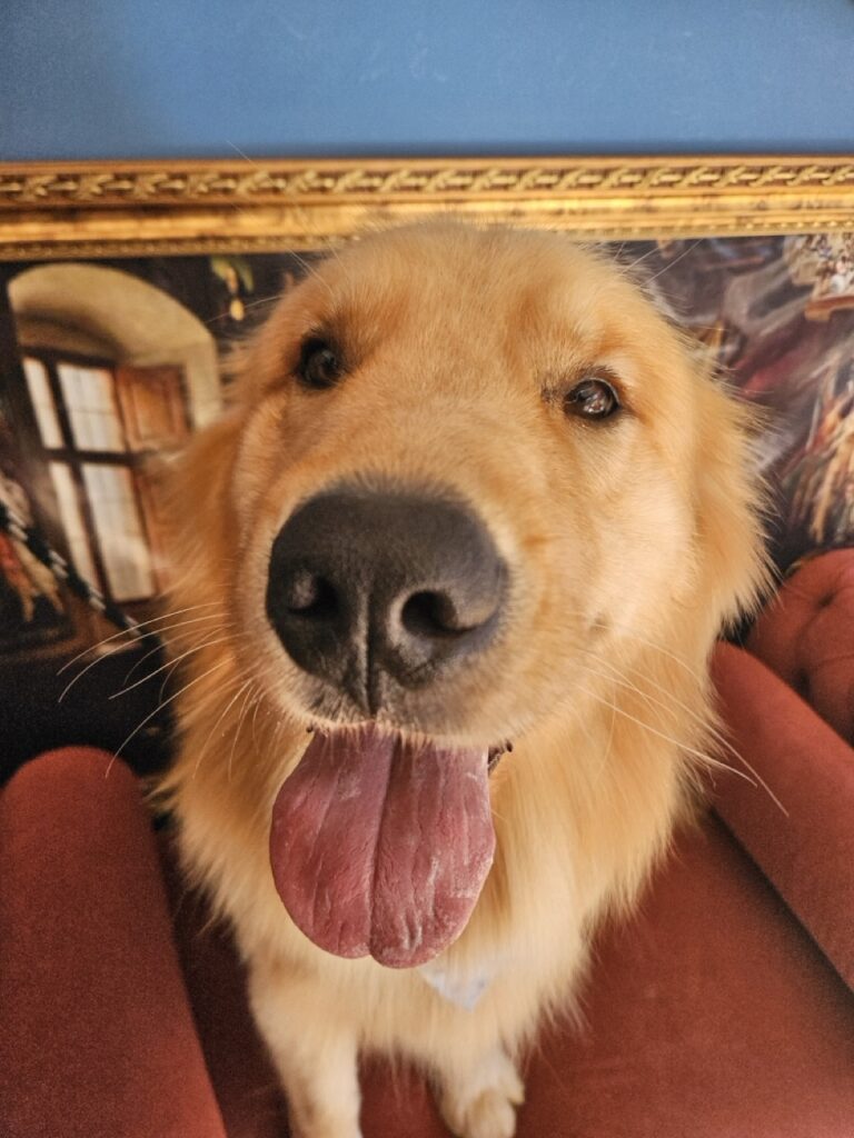 Foto de capa