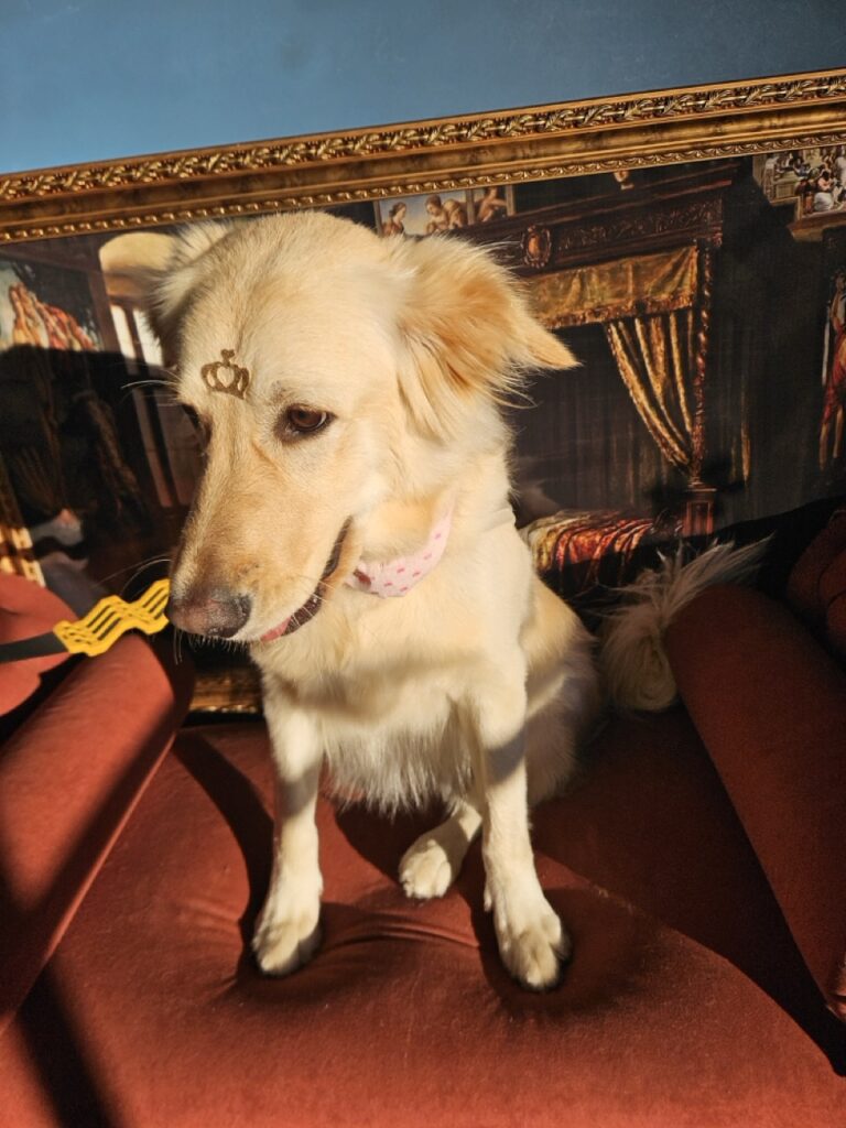 Foto de capa