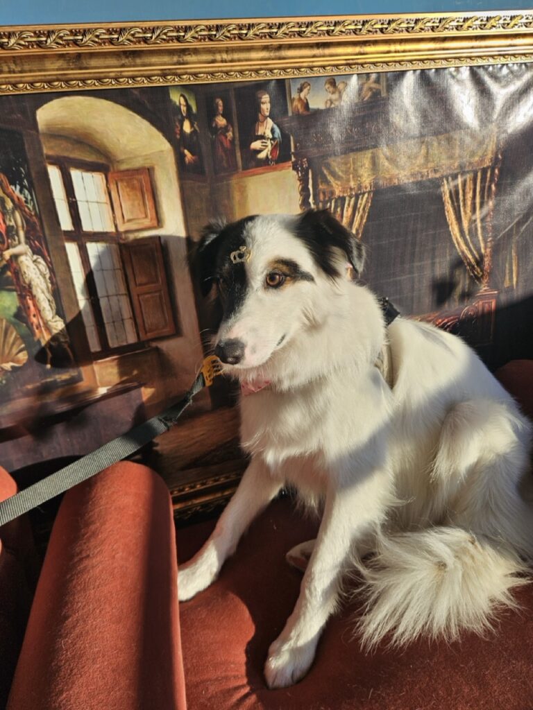 Foto de capa