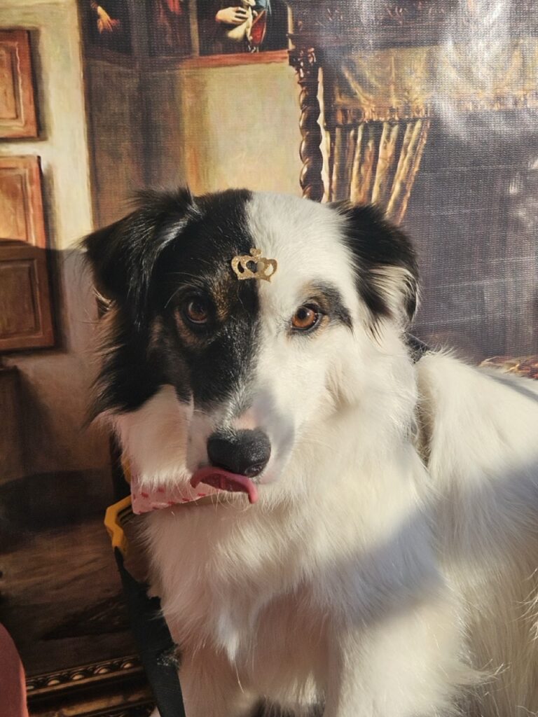 Foto de capa