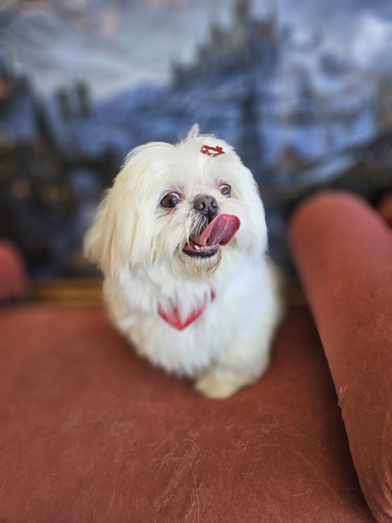 Foto de capa