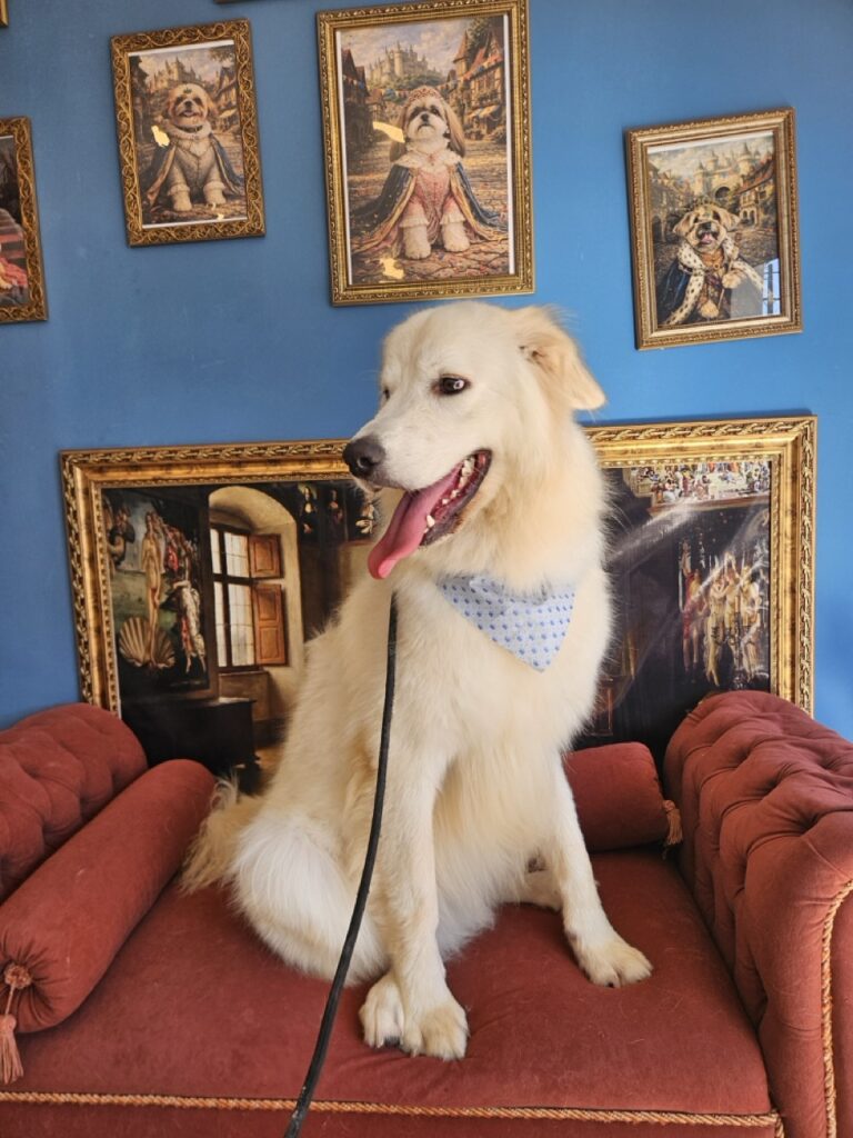 Foto de capa