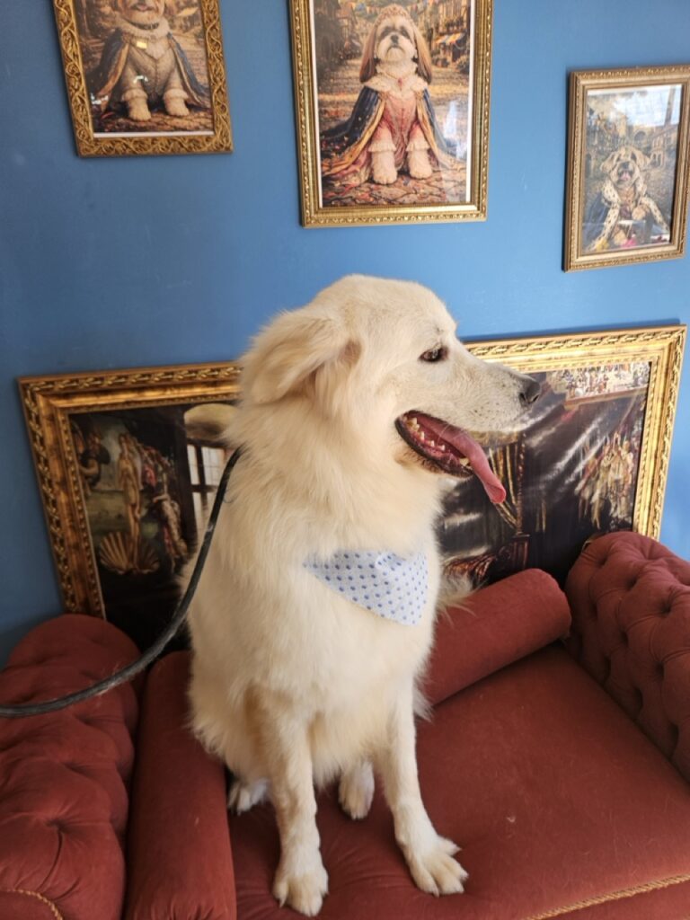 Foto de capa