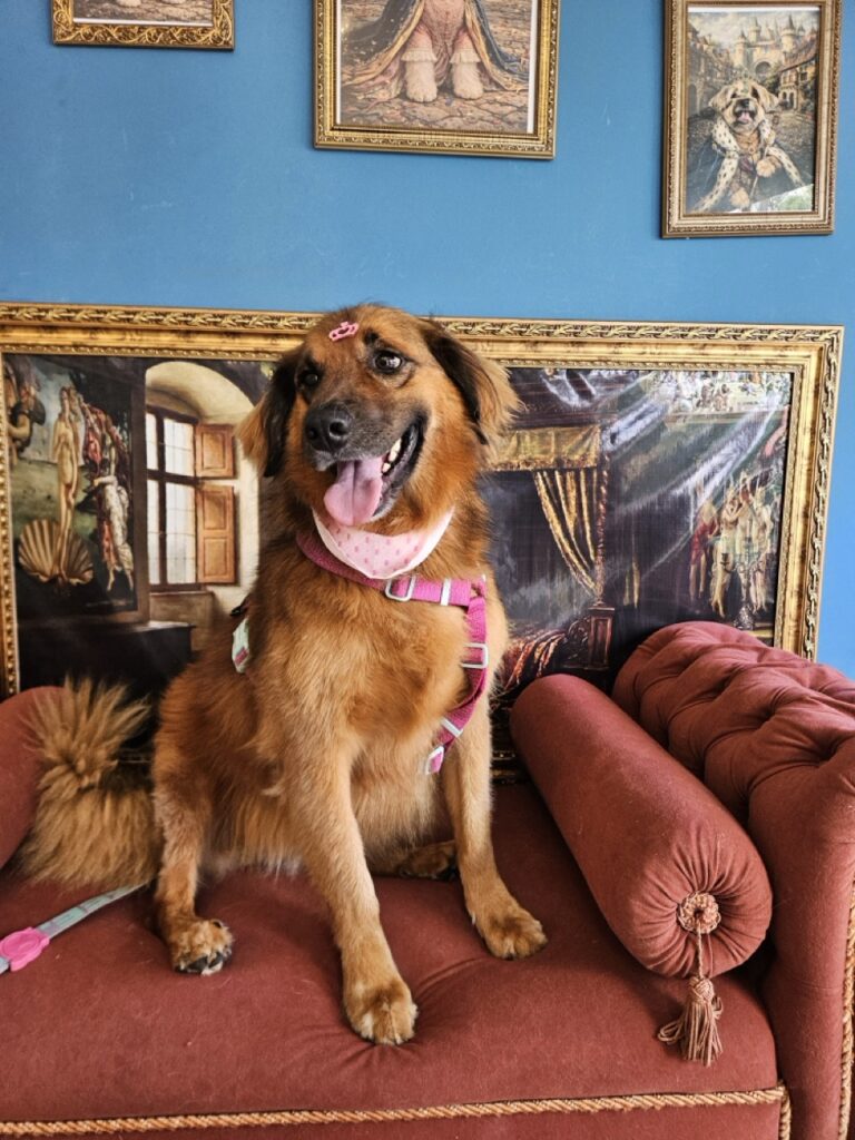 Foto de capa
