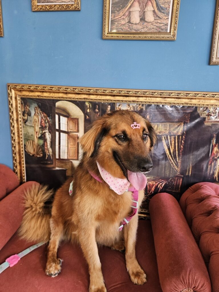 Foto de capa