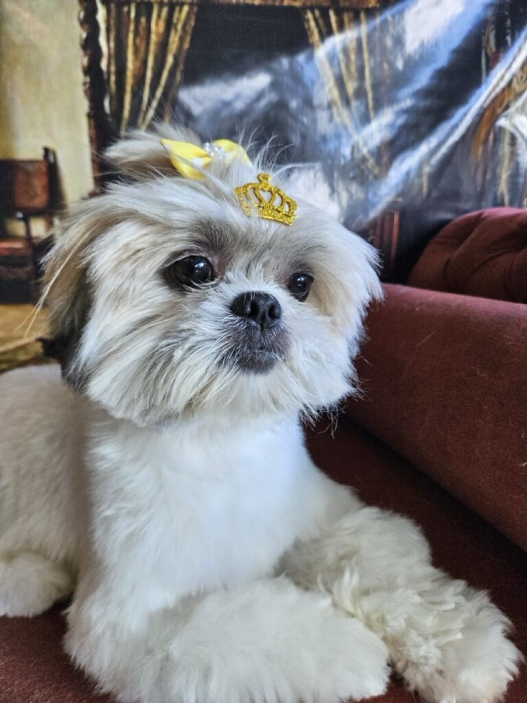 Foto de capa