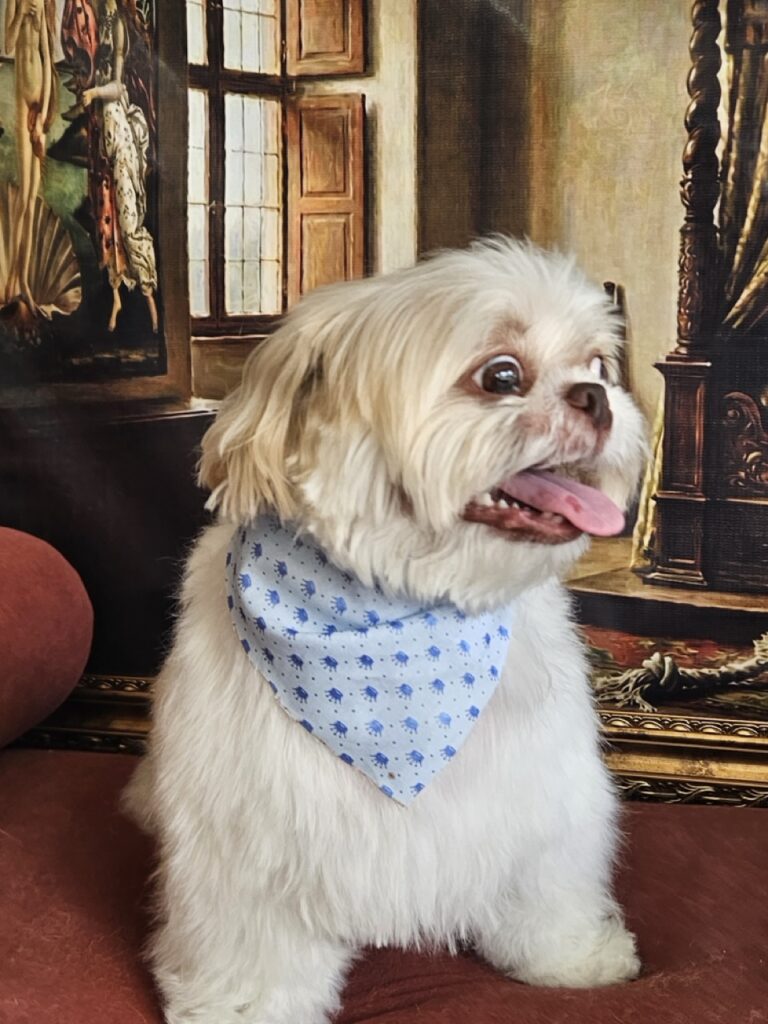 Foto de capa