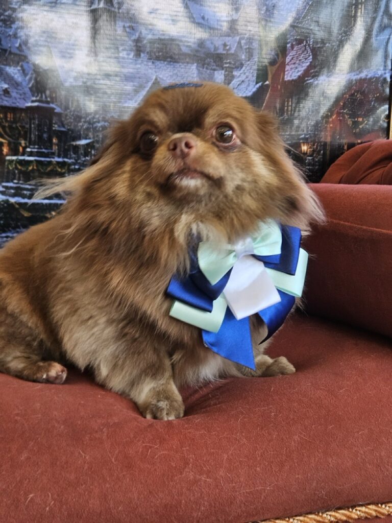 Baruk na Realeza Pets, foto 11