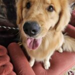 Bilbo