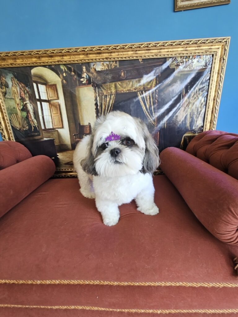 Foto de capa