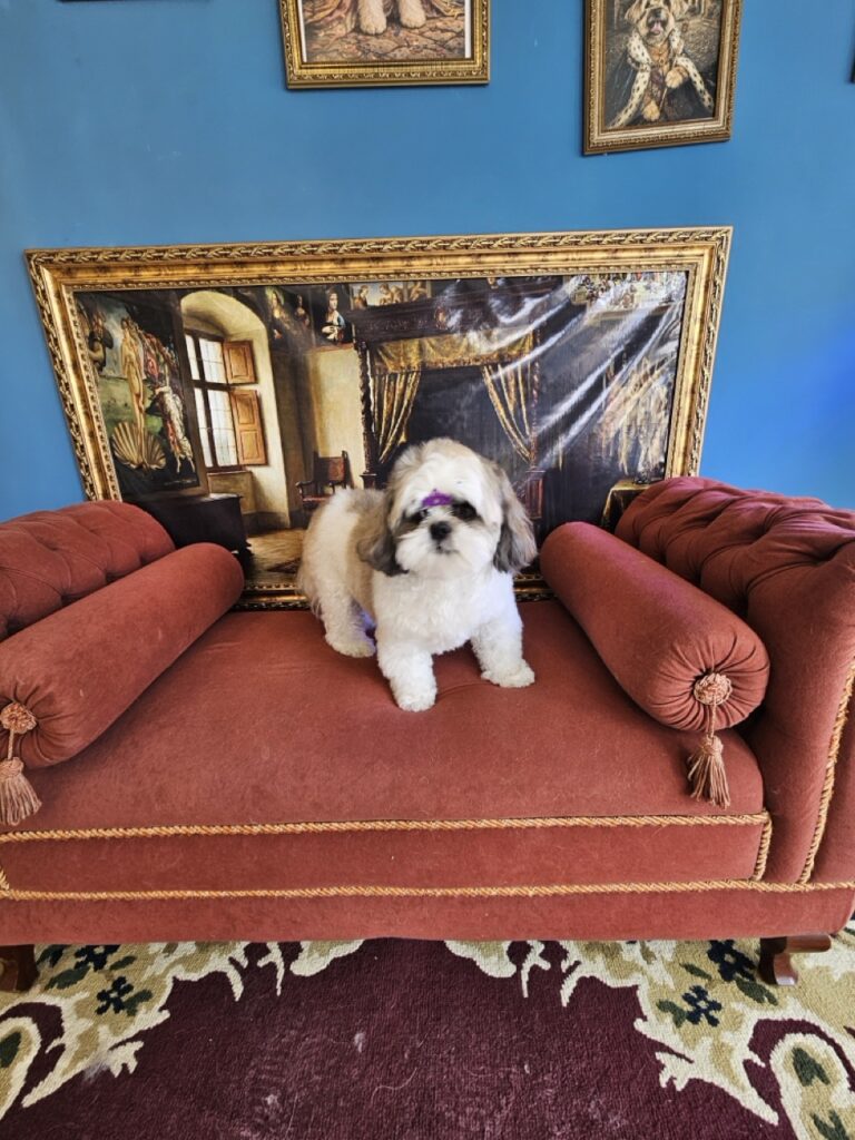 Foto de capa