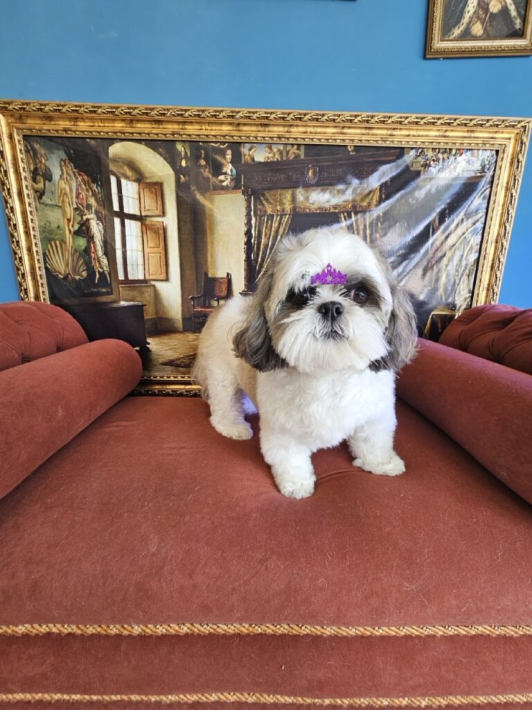 Foto de capa