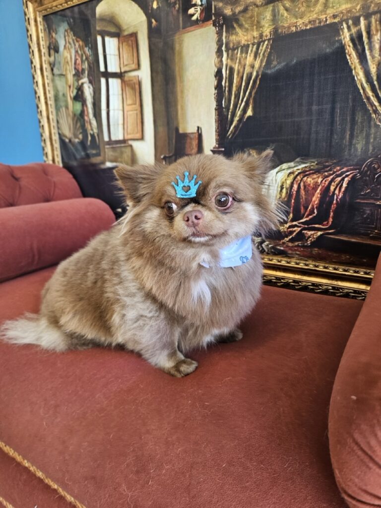 Foto de capa