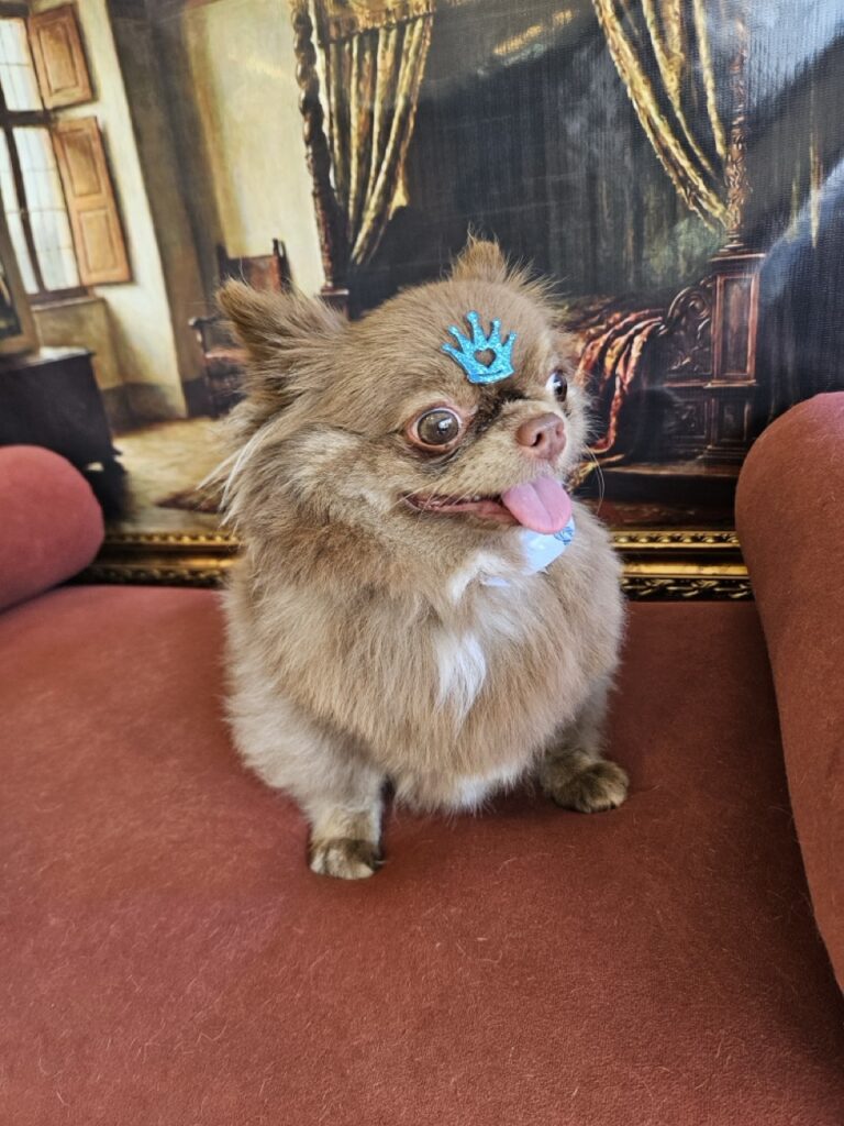 Foto de capa