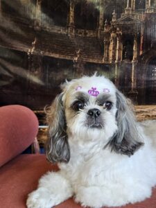 Luna - Tosa na Máquina