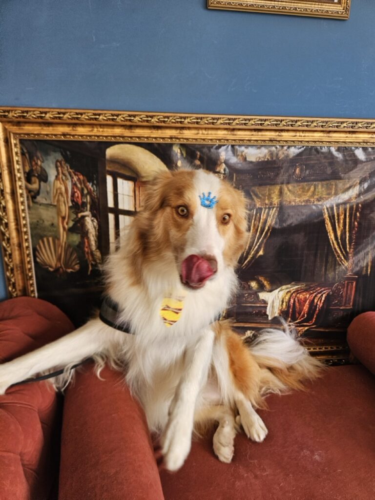 Foto de capa