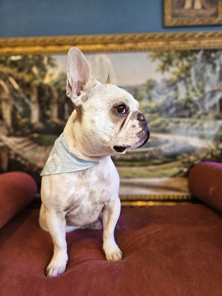 Foto de capa