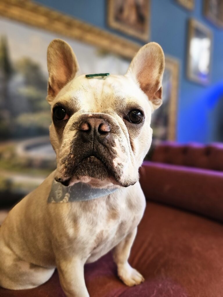 Foto de capa