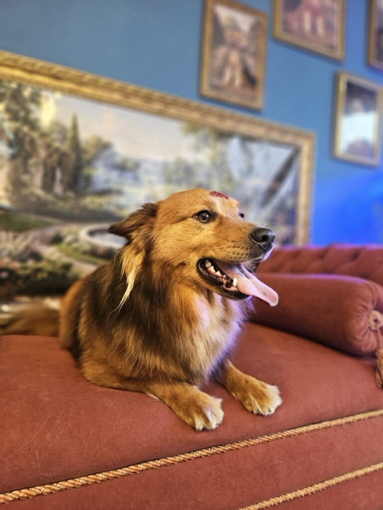 Foto de capa