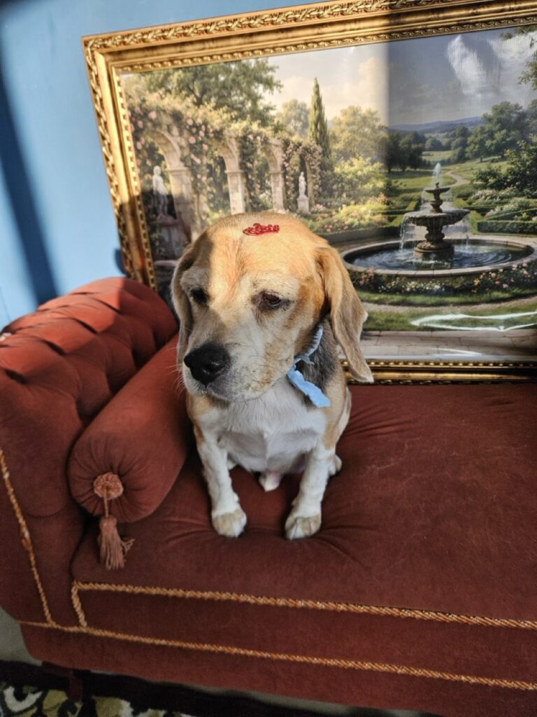 Foto de capa