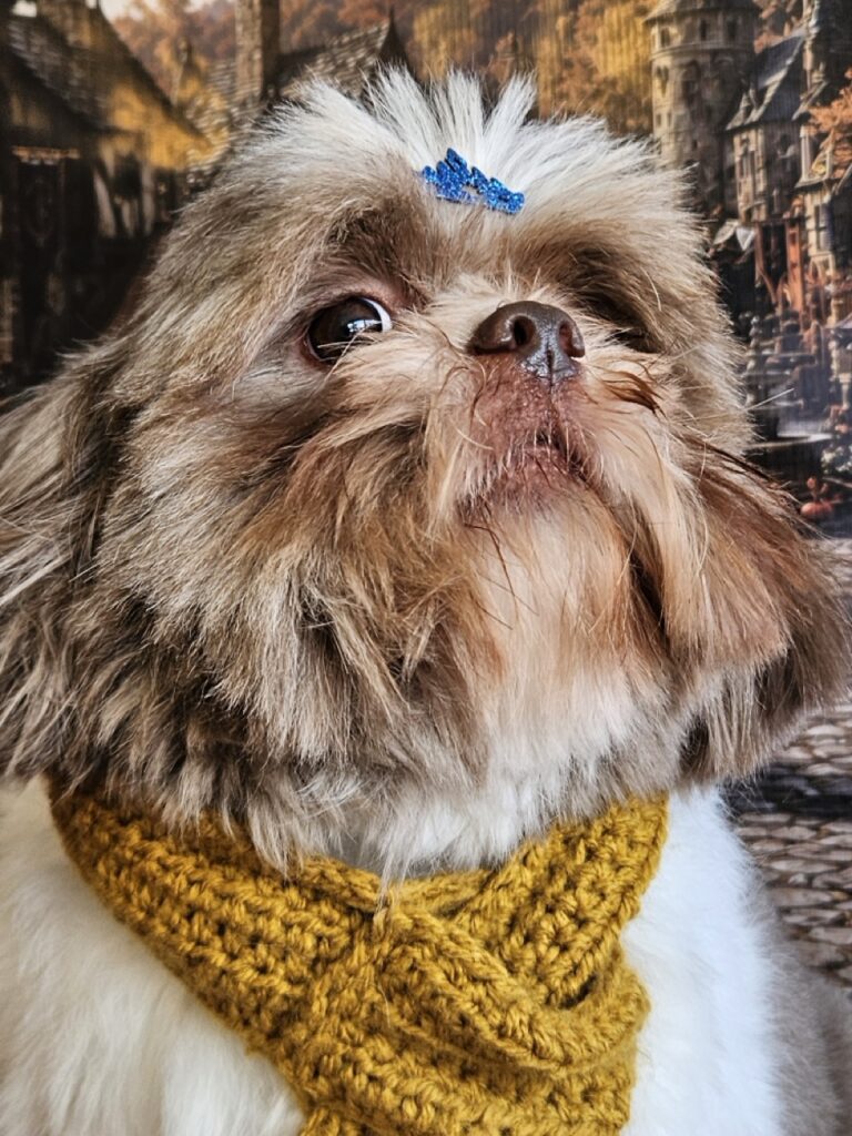Luigi na Realeza Pets, foto 8