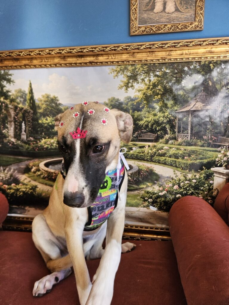 Foto de capa