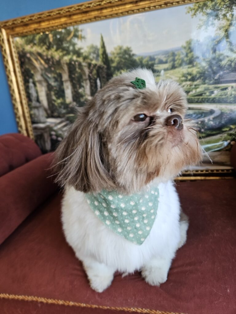 Foto de capa