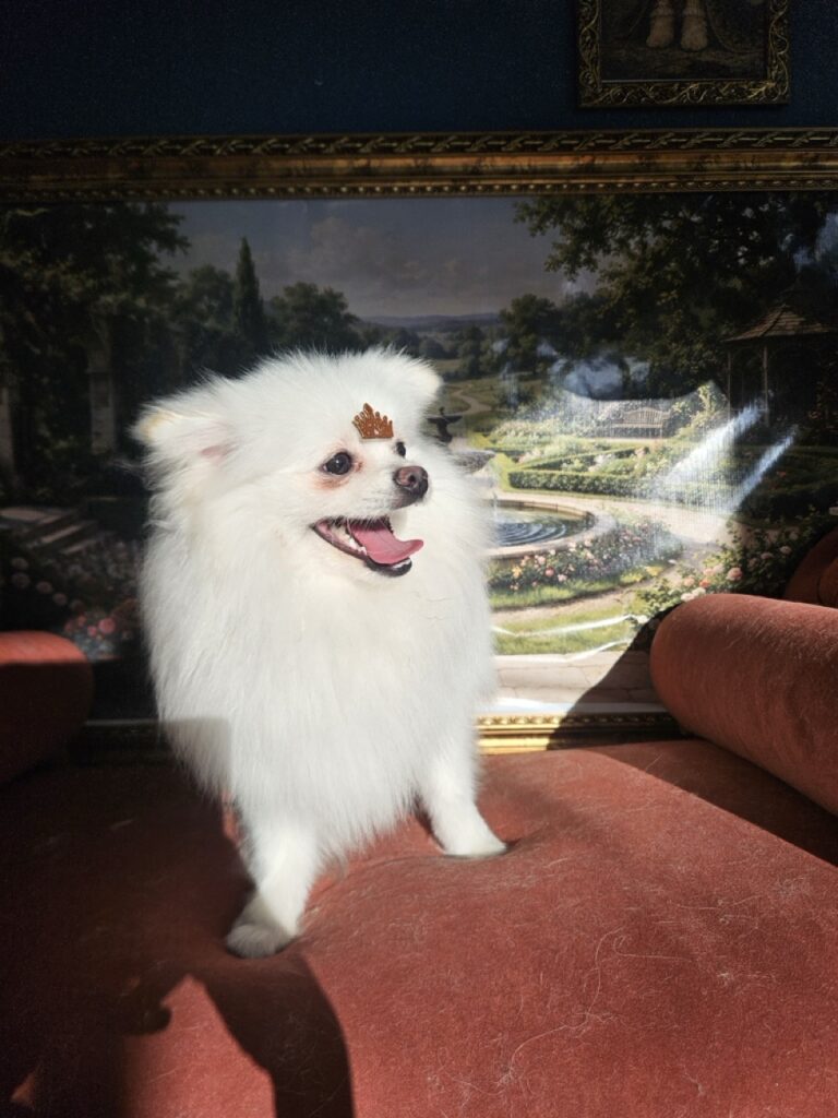 Foto de capa