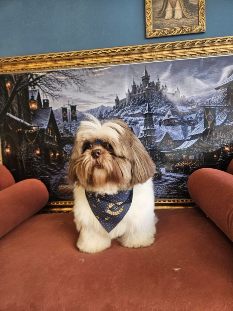 Luigi na Realeza Pets, foto 12