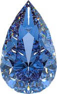 Executor de Elite