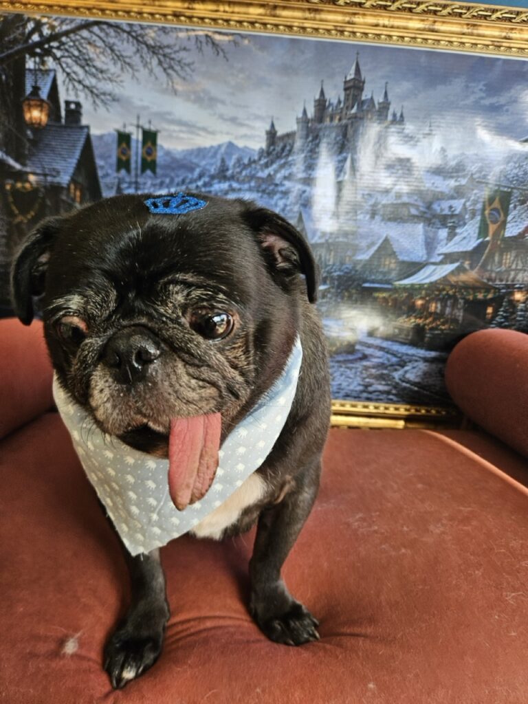 Fortuna na Realeza Pets, foto 10