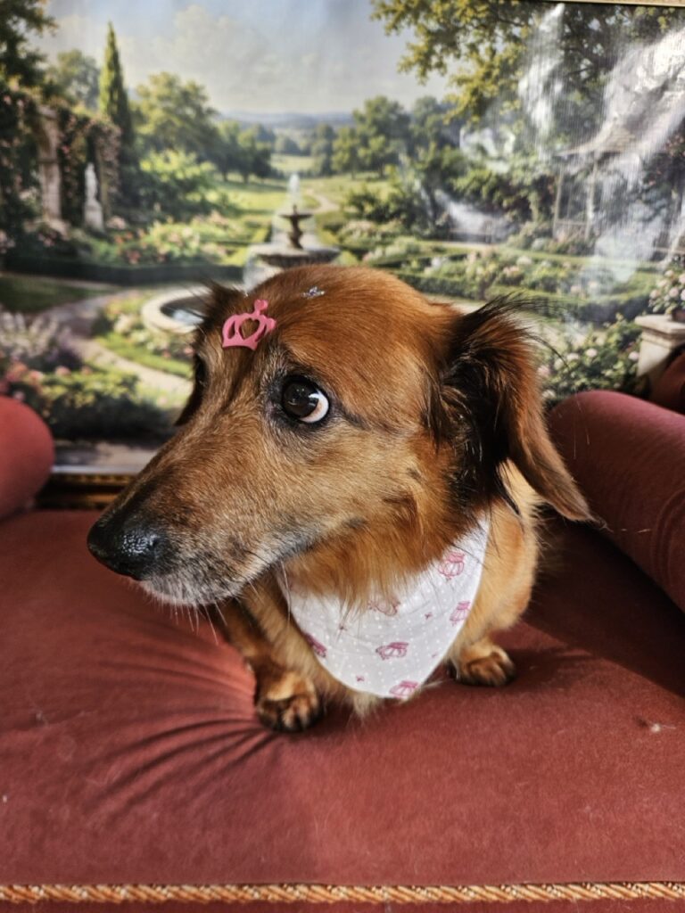 Foto de capa