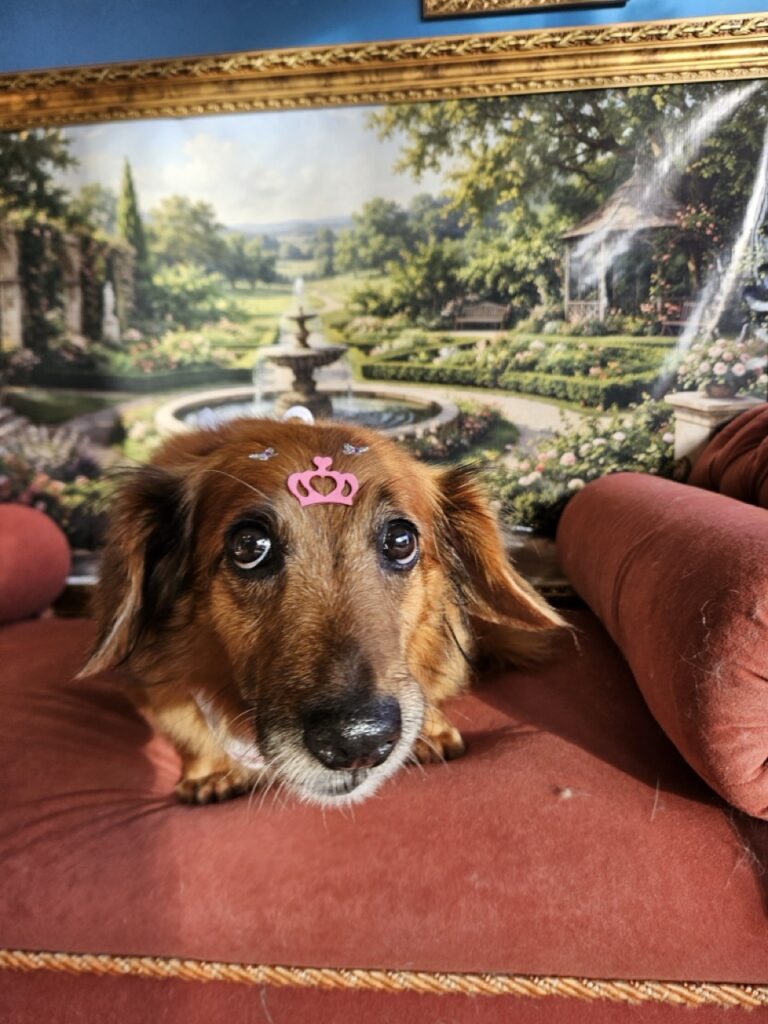 Foto de capa