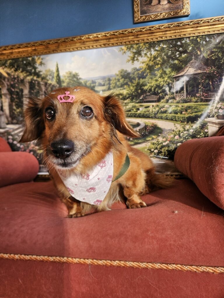 Foto de capa