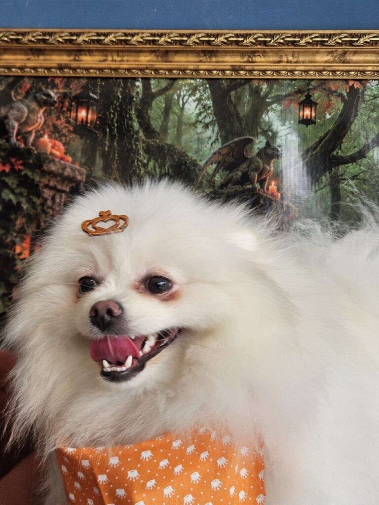 Snoopy Justin Bieber na Realeza Pets, foto 23
